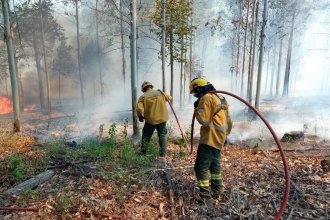 Incendios forestales, bajo control: descartan asistencia de otras provincias, pero persiste el riesgo de reinicio