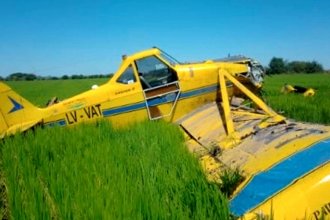 Avioneta golpeó el tendido eléctrico y cayó en una zona rural de Entre Ríos