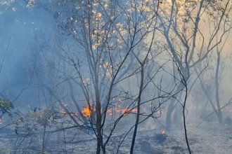 Bomberos trabajan intensamente para aplacar el incendio que se desató en una reserva natural de la provincia