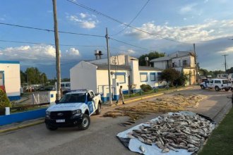 Incautaron más de 2800 kilos de pescado extraído ilegalmente del río Uruguay