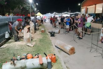 Homenaje a los artesanos en el Patio de Tallistas. Así será el encuentro de escultores de la 40° Fiesta Nacional de la Artesanía