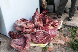 Faena clandestina: decomisan más de 100 kilos de carne de animales silvestres y domésticos