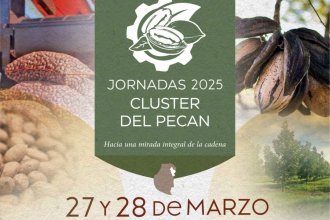 Programa completo para el Cluster del Pecán: desde conferencias y talleres hasta salida a campo y feria