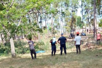 Operario perdió la vida aplastado por un árbol. Hacía tareas de desmonte en el Autódromo de Concordia