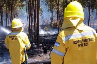 Bomberos voluntarios llevan sofocados más de 250 focos ígneos en el verano