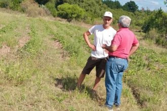 Relevamiento y asistencia a productores locales, explicado desde Economía Social