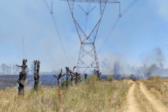 Bomberos trabajan en varios incendios. Uno, en inmediaciones de líneas de tensión de Enersa