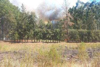 Vecinos de Estancia Grande tratan de evitar que el fuego llegue a sus casas e hicieron un desesperado pedido de ayuda