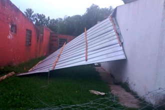 Fuerte temporal causó voladuras de techos y caída de árboles en ciudades entrerrianas