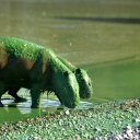 Los detalles del proyecto que presentó Cresto en Diputados sobre la presencia de cianobacterias en el río Uruguay