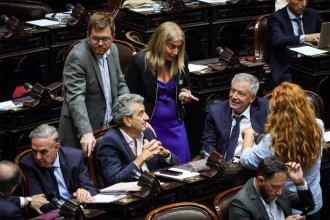 144 a favor y 98 en contra. La “ficha limpia” obtuvo media sanción en Diputados. Define el Senado