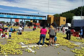 “Se cae a pedazos”. Productores advierten que la fruticultura del Alto Valle “podría desaparecer”