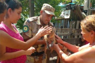 Rescataron animal autóctono que estaba siendo domesticado en una casa