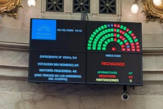 El Senado rechazó crear una comisión investigadora para el caso de la criptomoneda $LIBRA: cómo votaron los entrerrianos