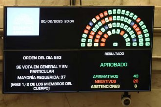 El Senado convirtió en ley la suspensión de las PASO de este año