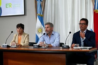 Frigerio anunció incrementos en los subsidios de facturas de energía eléctrica