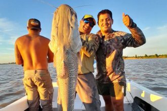 Un surubí gigante de 35 kilos sorprendió a pescadores entrerrianos