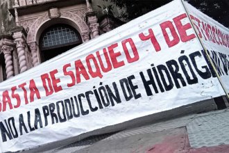 Planta de hidrógeno. Ambientalistas uruguayos piden tener en cuenta la “buena vecindad con países fronterizos”