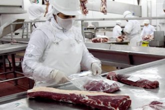 Preocupación en el Mercosur: China cancela a varios frigoríficos exportadores de carne vacuna