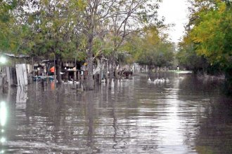 Tras la crecida del río Gualeguaychú, buscan prevenir enfermedades por Escherichia coli, Salmonella y Leptospirosis