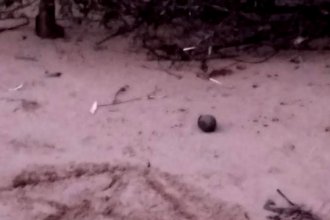 Guardavidas encontró una granada con carga explosiva en una playa del lago