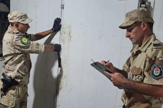 Abigeato lleva decomisados más de 500 kilos de carne en dos semanas e intensifica su presencia en el departamento