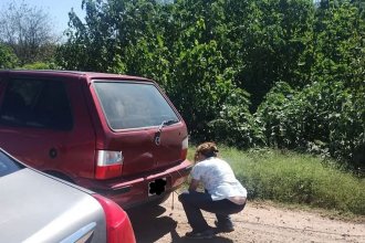 Vio que llevaban un perro atado al paragolpes, obligó a la conductora a parar y realizó la denuncia