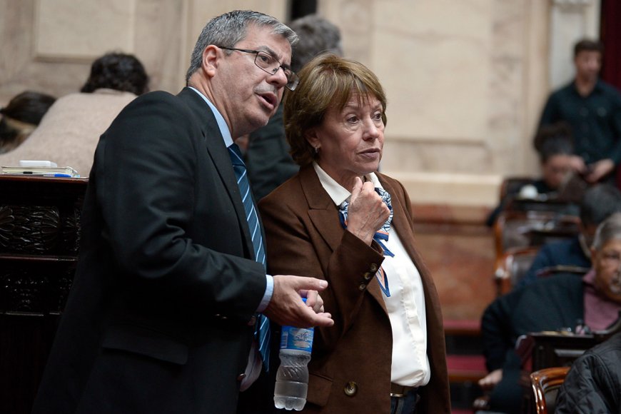 Osuna habló de límite para la gestión Milei.
