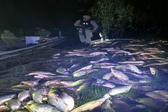 Golpe a la pesca ilegal: en patrullaje nocturno, incautaron cargamento de dos toneladas
