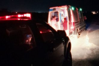 Dramático operativo para salvarle la vida a navegante atacado por enjambre de avispas