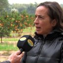 Advierten que miles de kilos de mandarinas y naranjas podrían terminar en el suelo por falta de consumo