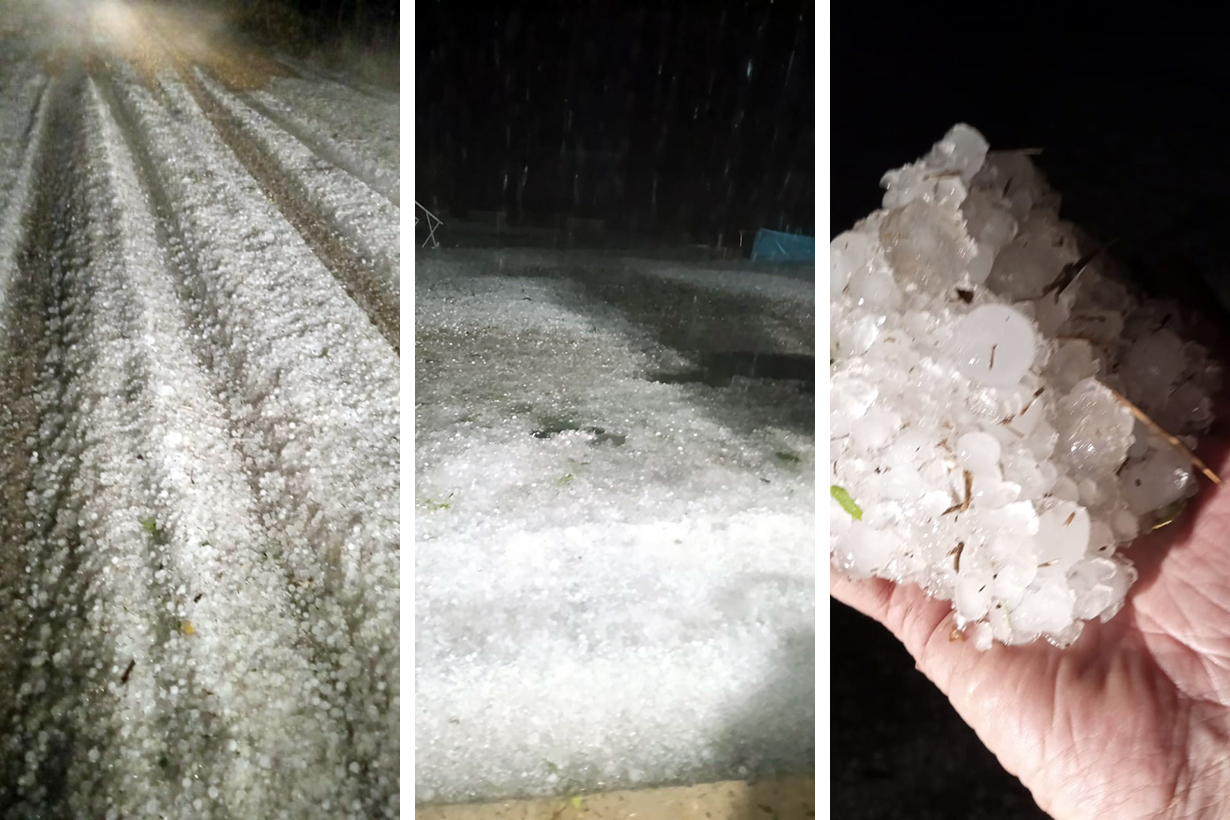 Así granizó en Colonia San Pedro, Federación.
