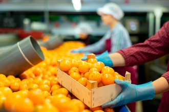El mundo tiende a comprar cítricos para industria por lo que invitan a diversificar la producción