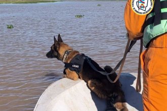 Búsqueda de tres hombres en Victoria: con ayuda de un perro de bomberos encontraron uno de los cuerpos