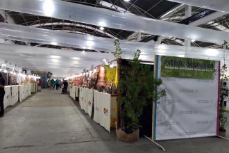 “No se perdieron 400 millones sino 172”. Balance económico de la Artesanía y el adelanto de un cambio para la edición 2026