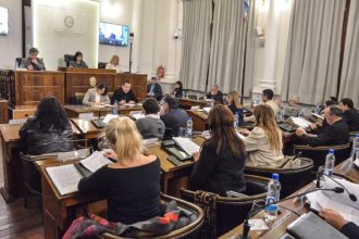 Miércoles clave en el Senado. Tomó estado parlamentario el proyecto de creación de OSER
