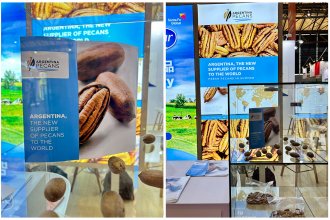 Empezaron a promocionar y posicionar los pecanes argentinos en el mercado chino