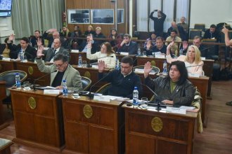 Creación de OSER. Recibió media sanción un proyecto que cubre vacíos legales sobre mutuales municipales