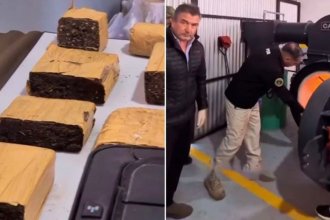 ¿Qué sucede con la droga secuestrada? Se deshicieron de 100 millones de pesos en estupefacientes