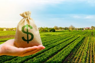Productores de Entre Ríos, Santa Fe y Córdoba se quedarían con US$971 millones menos si cesa la rebaja de las retenciones
