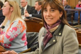 Luego de abstenerse en la votación de OSER, la senadora Domínguez abandona el bloque del PJ