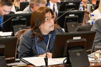 La diputada Ávila presentó un proyecto de ley que declara la Emergencia en Discapacidad en Entre Ríos