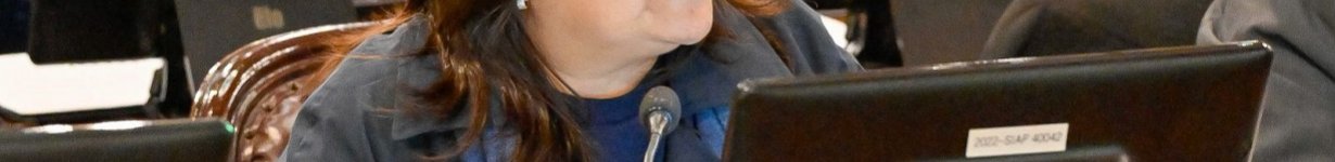 Diputada Mariel Ávila.