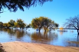 En Colón el río se encuentra en 7,27 metros y ya son cuatro las familias evacuadas