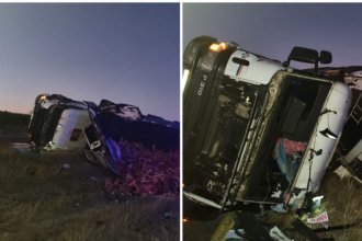 Camión volcó en la autovía de la RN14 y desparramó 18 toneladas de carne