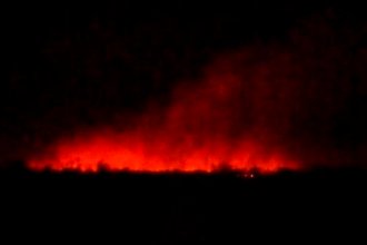 Denuncian nuevos incendios en las islas del Delta y aseguran que “son producidos por el hombre, no por un rayo”