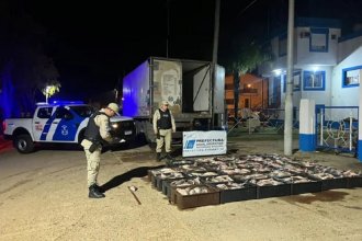 Incautaron pescados por un valor de 5 millones de pesos