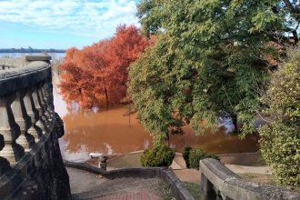 Fin de la crecida. Sin lluvias intensas a la vista, el río recuperaría su cauce habitual
