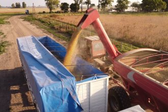 Especialistas agrarios afirman que Entre Ríos perderá 400 millones de dólares en esta campaña