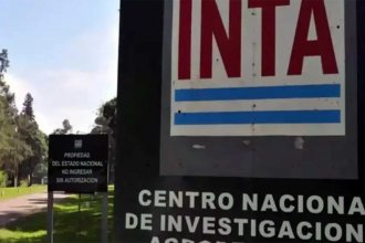 El INTA tiene más de 100 mil hectáreas y el gobierno nacional evalúa vender 47 mil